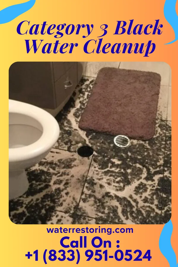 Category 3 Black Water Cleanup in Vincentown, NJ