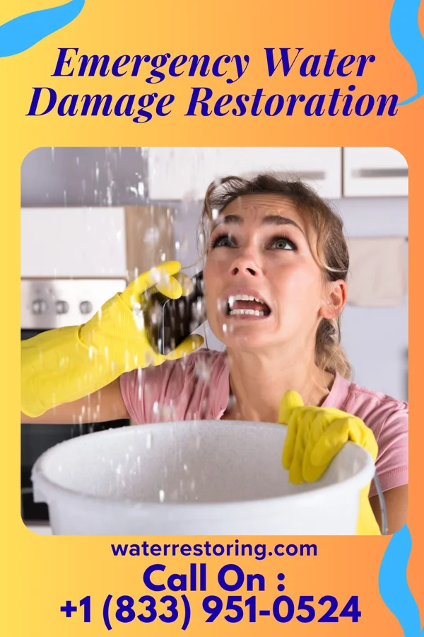 Emergency Water Damage Restoration in Vincentown, NJ
