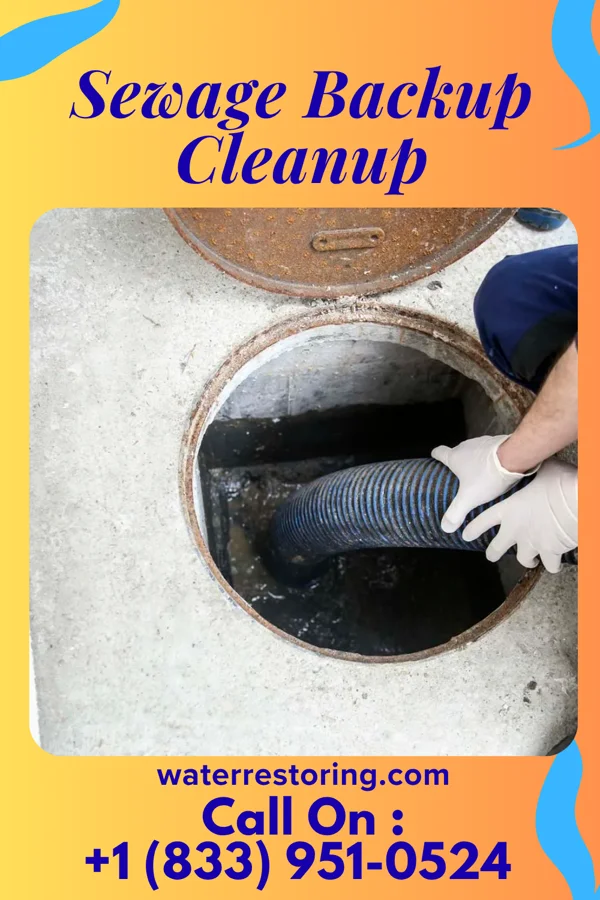 Sewage Backup Cleanup in Vincentown, NJ