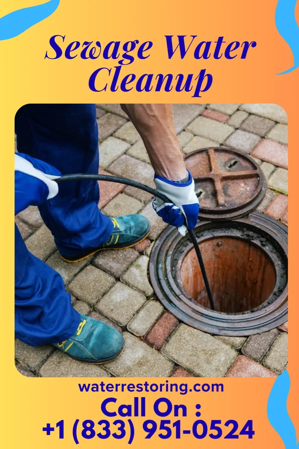 Sewage Water Cleanup in Vincentown, NJ